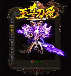 大海网络天龙八部私服